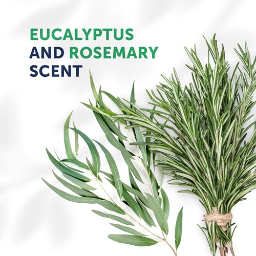 Truremedy Naturals Eucalyptus + Rosemary Body Wash - Body Wash for Therapeutic & Relaxing - Eucalyptus + Rosemary Body Wash (1 pk, 12 oz)