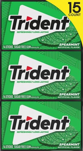 Trident Spearmint Flavor Bubble Gum 14 Sticks (Netcount 15 Pack), 15 Count (Pack of 1)