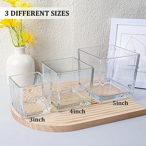 Comrzor Set of 6 Square Glass Vases 3" x3" x 3", Clear Flower Vases for Centerpieces, Candle Holder for Wedding Party Events, Home Décor