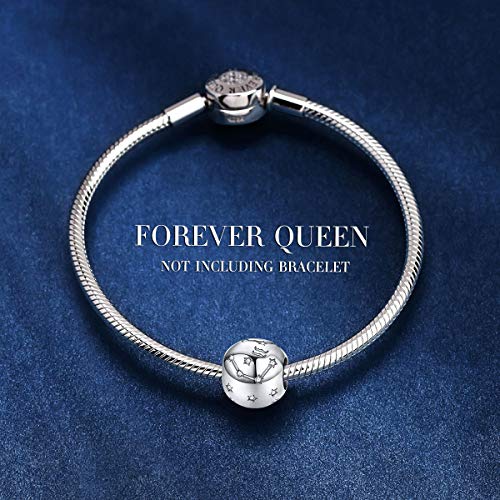 FOREVER QUEEN Aquarius Zodiac Star Sign 925 Sterling Silver Bead Charm Fits Bracelets 12 Constellations Charm, Womens Jewellery Gift with Box