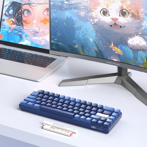 MageGee Portable 60% Mechanical Gaming Keyboard, Hot Swappable Blue Whale Switch, RGB Backlit Compact 68 Keys Mini Wired Gradient Custom Keyboard for Windows Laptop PC, with Silencing Cotton, Black