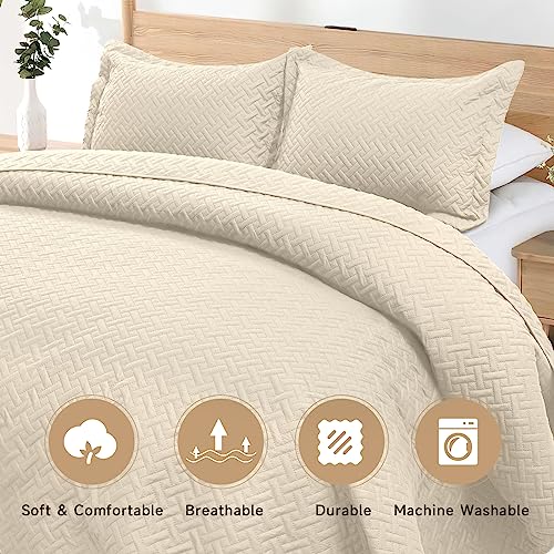 HYLEORY Quilt Set Full/Queen Size - Soft Lightweight Quilts Summer Quilted Bedspreads - Reversible Coverlet Bedding Set for All Season 3 Piece (1 Quilt, 2 Pillow Shams) - Beige