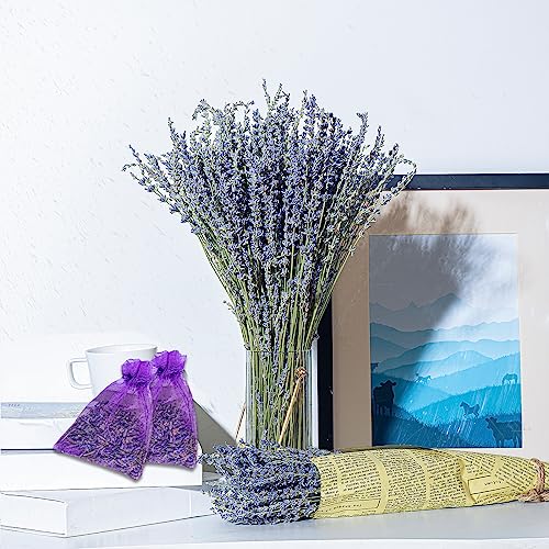 Bnecnet 10PCS Faux Pampas Grass - 17.7" Orange Pampas Grass Decor Fluffy Small Pampas Grass Flower Arrangement and Vase Filler for Boho Home Wedding Mothers Day Decoration