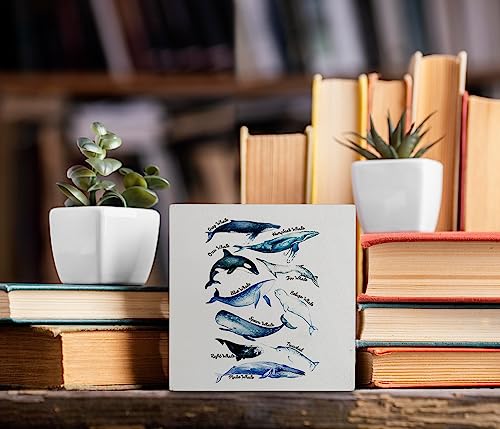 kunlisa Sea Life Whale Educational Ocean Animal Wooden Box Sign Desk Decor,Farmhouse Whale Theme Wood Block Plaque Box Sign for Coastal Beach Home Classroom Library Dorm Shelf Table Decoration