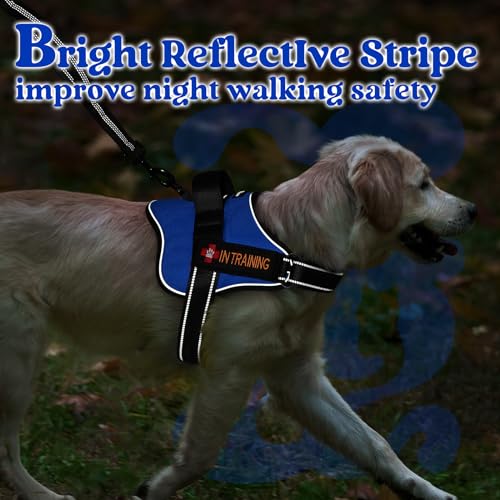 rabbitgoo Dog Harness Small Sized, No Pull No Choke Pet Vest, Easy Wearing with One Buckle, Reflective, Adjustable Pet Harness with Molle for Walking, Training, Blue, S