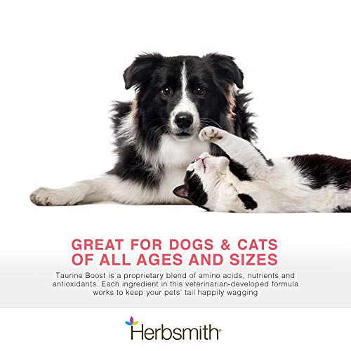 Herbsmith Taurine Boost - Cardiac and Heart Support for Dogs and Cats - Taurine Supplement for Dog and Cat Heart Health – with CoQ10, Taurine and L-Carnitine for Dogs - 75g