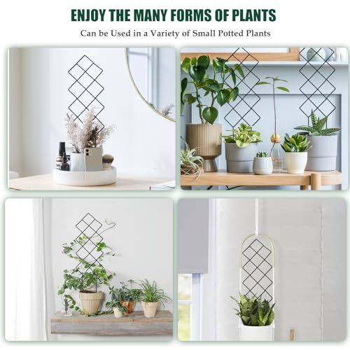 WellSign Metal Trellis for Climbing Plants Indoor, 16.36 inch Small Trellis for Potted Plants Geometric Shape Lattice for Ivy Vines Hoya Houseplants Flower 2 Pack