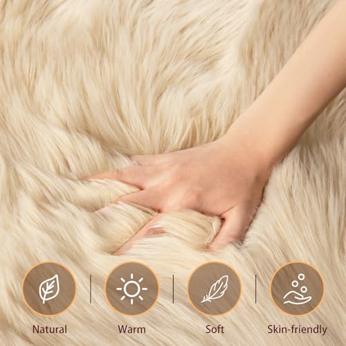 Ciicool Fluffy Area Rug, Black Faux Fur Rugs for Bedroom Living Room, Thick Fuzzy Shag Rug Furry Nursery Rug Plush Indoor Floor Carpets for Kids Girls Boys Teen Dorm, 4x6 ft