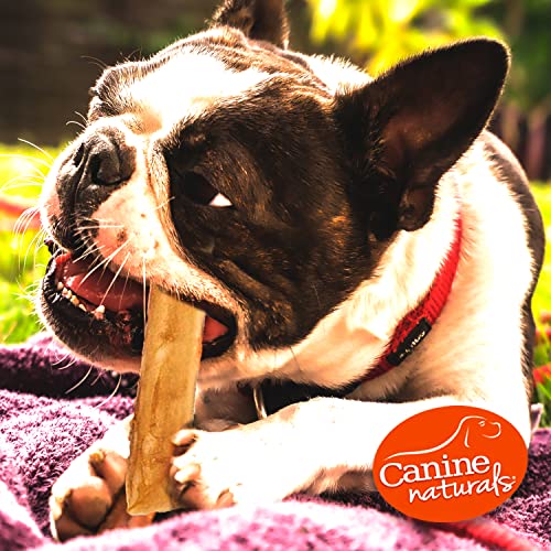 Canine Naturals Chicken Recipe Chew - Rawhide Free Dog Treats - Made From USA Raised Chicken - All-Natural and Easily Digestible - 40Ct(Pack of 1), 5 Inch Stick Chews