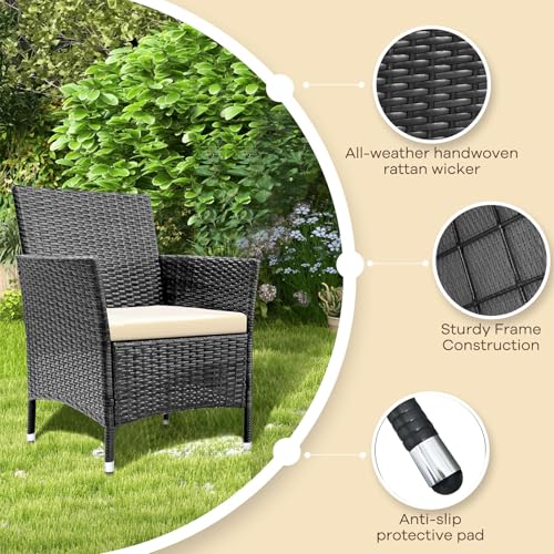 TINKLE WELL Outdoor Patio Furniture, 4 Pieces Rattan Chairs Wicker Conversation Set with Tempered Glass Table, Cushion, for Yard, Garden, Poolside, Porch, Bistro, Balcony, Black and Beige