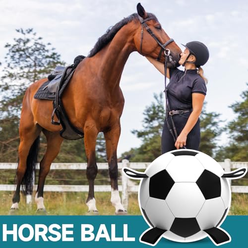 QDAN Herding Dog Balls Horse Ball - 18 inch Horse Toys Herding Ball for Dogs, Large Giant Ball Toys for Australian Shepherd Dog Toys, Black