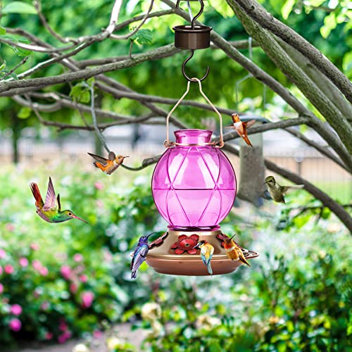 BOLITE Hummingbird Feeder, Glass Hummingbird Feeders for Outdoors Hanging, Hand Blown Glass, Five Feeding Ports with Perch, 20 Ounces, Leak Proof, Red