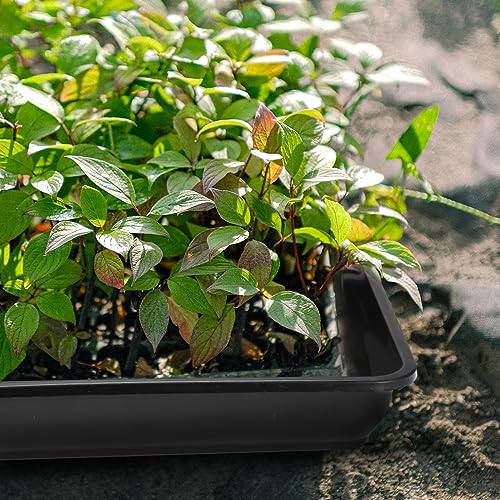 Pinkunn Large Square Plant Saucer 18 20.5 Inch Black Plastic Tray Heavy Duty Plastic Pot Plant Drip Trays Saucers for Indoors Outdoor Plant Water Dray Tray Garden Trays (3 Pcs,18 Inch)