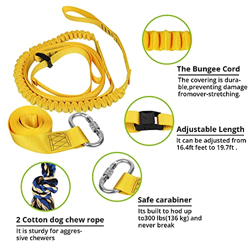 HOKINETY Dog Hanging Bungee Tug Toy: Interactive Tether Tug-of-War for Pitbull Small to Large Dogs to Exercise and Fun Solo Play - Durable Retractable Tugger Dog Rope Toy with 2 Chew Rope Toys