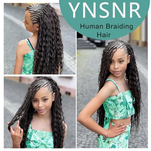 YNSNR Water Wave Bulk Human Braiding Hair for Boho Braids 100% Human Hair Unprocessed Brazilian Curly Human Hair for Human Hair Extensions 1 Braids Per of 1 pack 50g 24 Inch