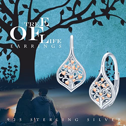 Dragonfly Earrings 925 Sterling Silver Small Dragonfly Leverback Cute Dangle Hoop Earrings Dragonfly Jewelry for Women Teen Hypoallergenic Earrings for Sensitive Ears