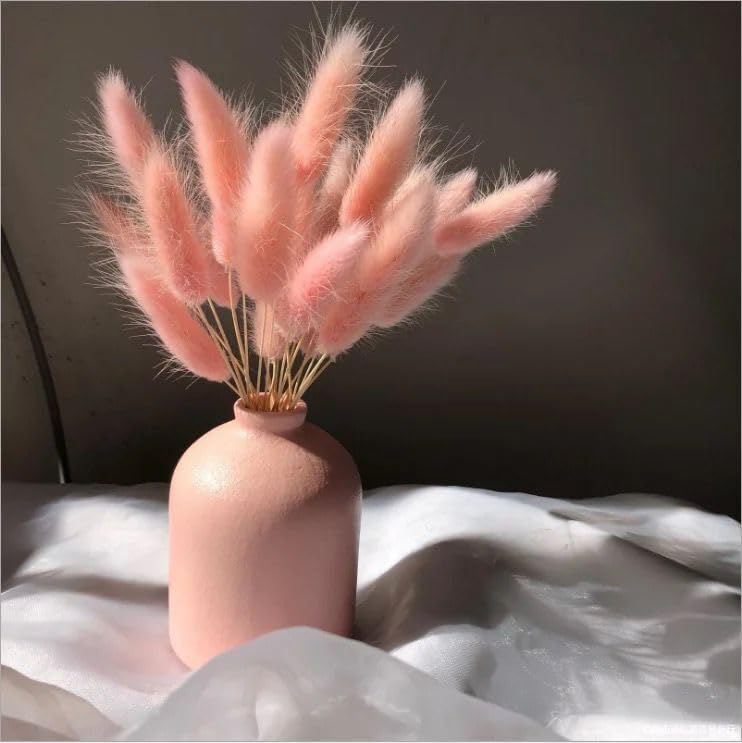 Bunny Tails Dried Flowers, 17inch Natural Rabbit Tail Grass, Boho Lagurus Ovatus Eternal Florals for Wedding, Home Centerpieces Decoration, Flower Arrangements, Photo Props (Pink 50pcs)