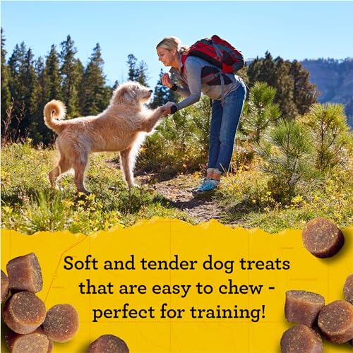 Zuke’s Mini Naturals Soft And Chewy Dog Treats For Training Pouch, Natural Treat Bites With Chicken Recipe - 16 oz. Bag