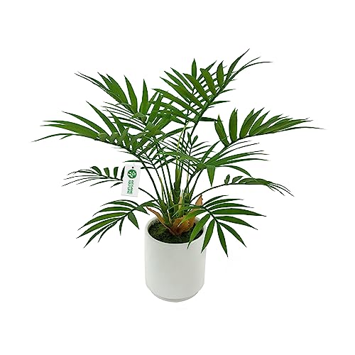 BESAMENATURE Artificial Palm Tree Plant, Potted Artificial Plant for Home Office Decoration, 12" Tall, Ships in White Ceramic Planter