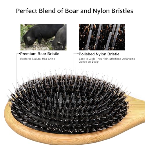 EAGLE FORTRESS Glidease Wood Boar Bristle Hair Brush with Nylon Refined Smooth Bristle for Women, Men, and Kids - Effortless Detangler Hair Brush Ideal for Thick, Thin, Fine All Hair (Bamboo)