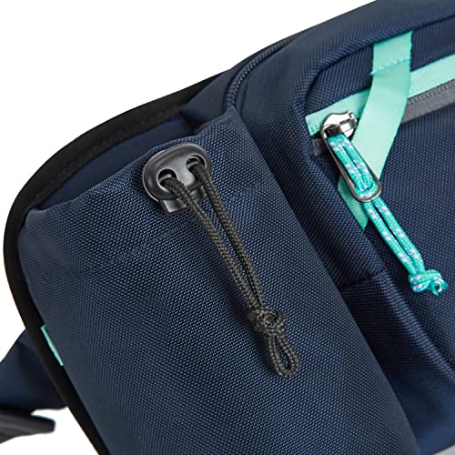 Travelon Greenlander Sustainable Anti-Theft Hip Pack, Diamond Ash, 10" W x 7" H x 3" D