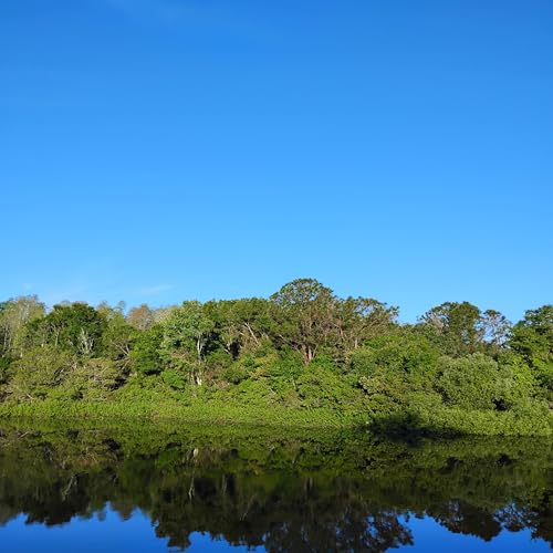 Knine Need Non Promo [Explicit]