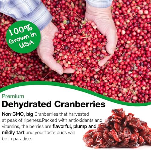 Premium Tasty Dried Cranberries 1 lb, Nestor 100% Natural Non-GMO, No Preservatives,Unsulfured Dry Fruit Sweetened Cranberry for Snacks Baking Oatmeal Salads, US-Grown