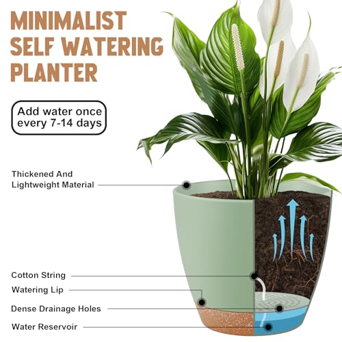 QRRICA Plant Pots 8/7/6.5/6/5.5/5 Inch Self Watering Pots, Set of 6 Plastic Planters with Drainage Holes and Saucers,Plastic Flower Pots,Nursery Planting Pot for Indoor Out Door Plants（Green）