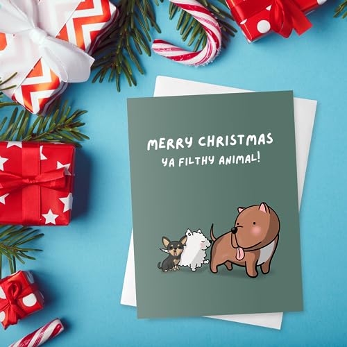 ALY LOU Christmas Cards Funny Holiday Box Set Pack Assorted, Quality Xmas Sarcastic Greeting Cards for Family Friends (10 Cards Total - White Funny & Sarcastic - 1 of each design)