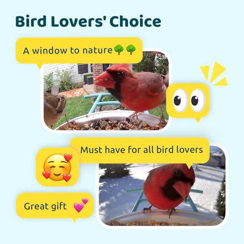 NETVUE Birdfy AI Smart Bird Feeder with Camera, AI Auto Capture Each Bird Come & Identify 6000+ Bird Species, Cloud Store Bird Videos & Birdwatching On Live, Ideal Gift for Bird Lover (Blue)