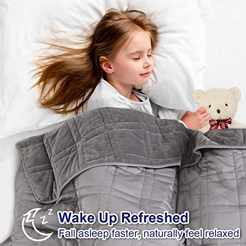 Double-Sided Weighted Blanket King Size 30lbs(88''x104'', All Season Use), Warm Short Plush and Cool Tencel Reversible Weighted Blanket, California King Size for Adults & Couple - Carry Bag Included