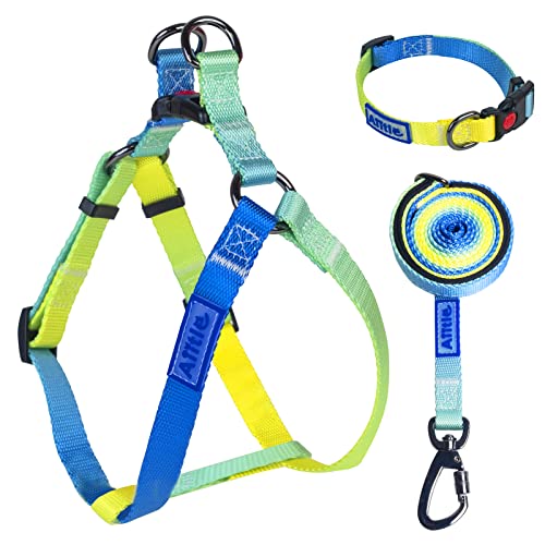 AIITLE Step in Dog Harness Collar Leash Set - Adjustable No Pull Dog Halter Harness - Comfortable Padded Handle - Easy Control for Walking - for Extra-Small Breed Dogs, Blue Gradient XS