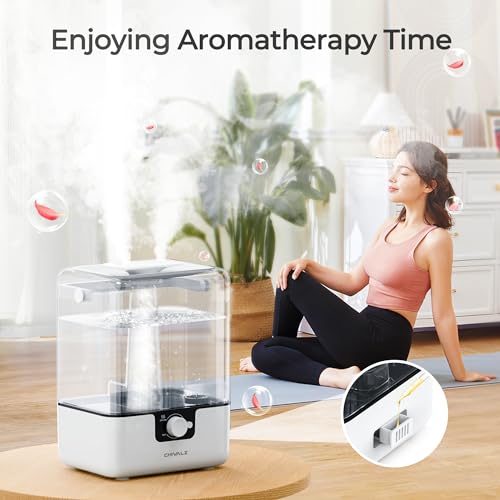 6L Humidifiers for Bedroom 240812