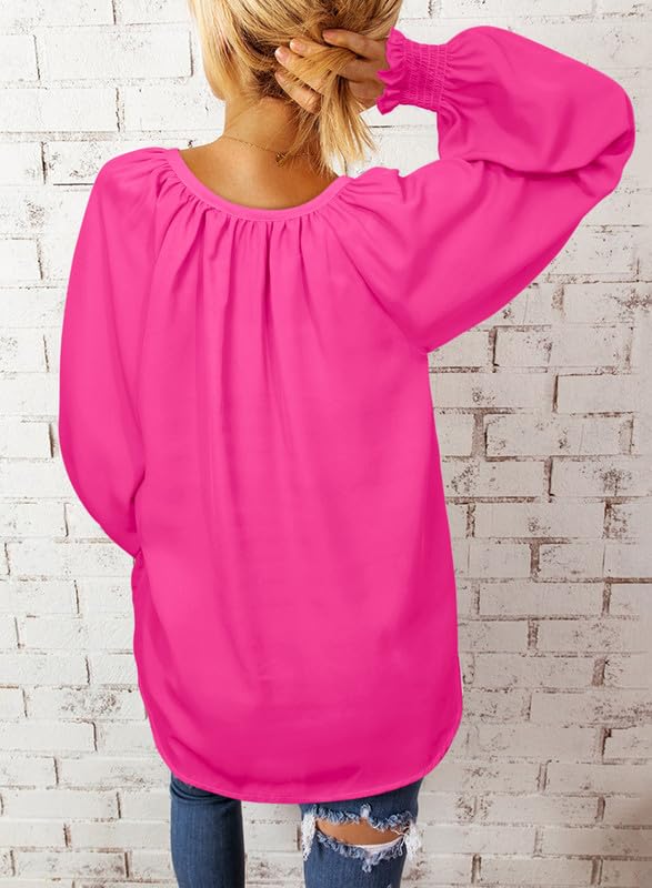 SHEWIN Womens Casual Spring Summer V Neck Long Sleeve Chiffon Blouses Shirts Loose Back Pleated Flowy Tunic Tops for Women 2024,US 8-10(M),Light Purple