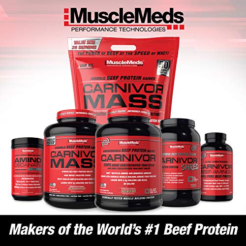 MuscleMeds CARNIVOR Beef Protein Isolate Powder, Muscle Building, Recovery, Lactose Free, Sugar Free, Fat, Free, 23g Protein, Halal Certified, Chocolate, 56 Servings