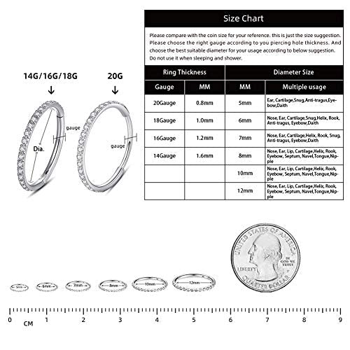WBRWP 316L Stainless-Steel Hinged Nose Rings Hoop : Womens and Mens Ear Pierecing Ring with Colorful Zircon 20G(0.8mm) Septum Clicker Helix Cartilage Hoop Diameter 10mm, Rose Gold Color