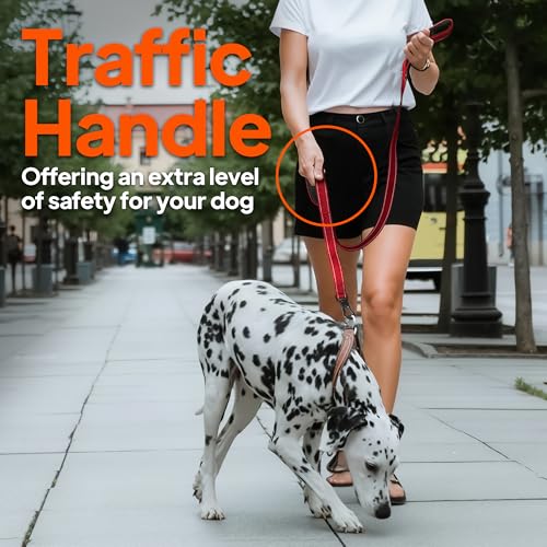 TwoEar 4FT 1IN Strong Black Dog Leash with 2 Padded Handles, Traffic Handle Extra Control, Comfortable Soft Dual Handle, Auto Lock Hook, Reflective Walking Lead for Small Medium and Large Dogs