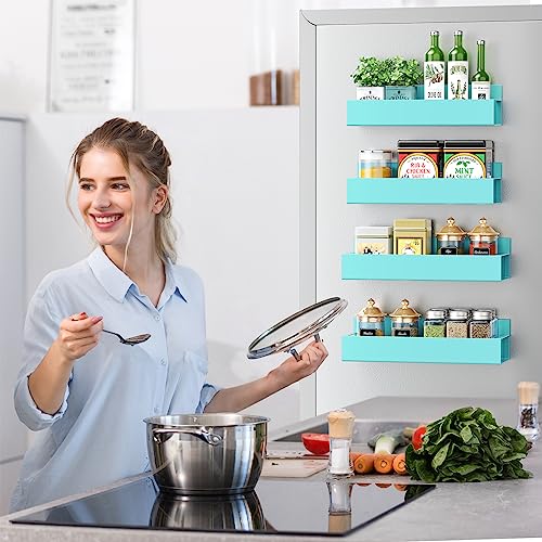 Vetacsion 4 Pack Moveable Fridge Magnetic Spice Racks,Metal Red