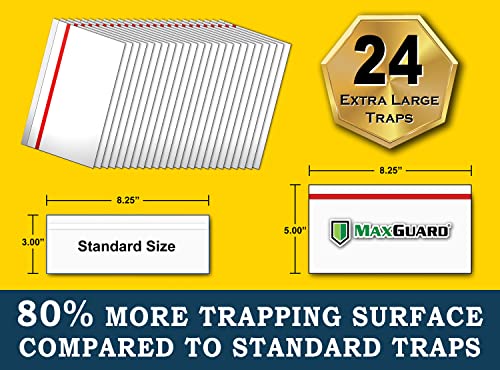 MaxGuard Window Fly Traps (24 XL Traps) Catch & Kill Houseflies, Flying Insects & Bugs. Non-toxic Sticky Glue Traps Fly Killer Clear Strip Insect Catcher Safe No Zapping with Zapper |