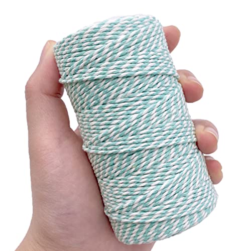 Twine String Aqua Blue and White Baker String 328 Feet 2mm Thick Christmas Halloween Twine String for Gift Wrapping DIY Crafts Home Decoration String Art Gardening