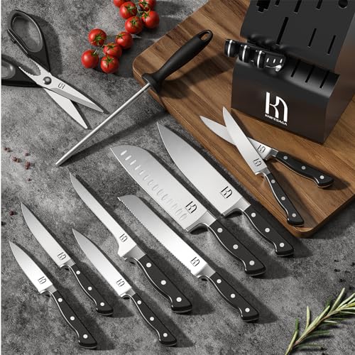 KnifeSaga Knife Set, 15 Pcs Knife Block Set, Enduring Razor-Sharp Japanese High Carbon Stainless Steel Kitchen Knife Set, Premium Forged Knife Set for Kitchen and Professional Chefs, Black