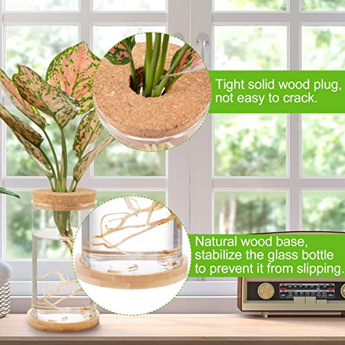 Plants Propagation Station - Desktop Plant Terrarium Glass Hydroponic Vases Water Plant Propagating Jars Gardening Gifts for Women Mom Plant Lovers (3Pcs, Separated Style)