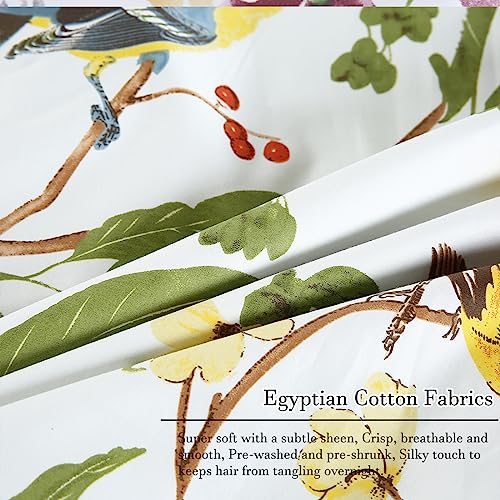 WINLIFE Queen Pillowcases Set of 2 100% Egyptian Cotton Queen Pillow Cases 2, 20×30 inches, Soft and Breathable Pillow Cover, White