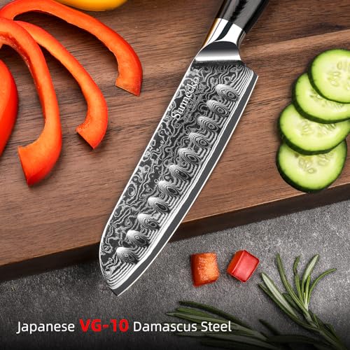 Sunnecko Damascus Chef Knife Japanese Santoku Knife 5 Inch Chopping Knife Vegetables, High Carbon Stainless Steel Knife with Gift Box