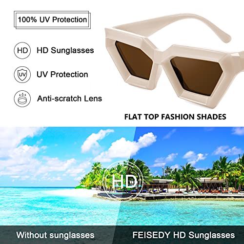 FEISEDY Women Sunglasses, Cateye Square Vintage Glasses for Men, Thick Frame Polygon Sunnies B4079