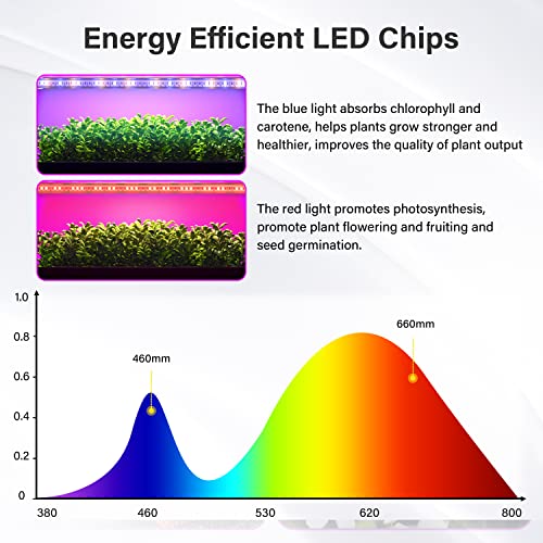 iPower LED Grow Light Strips Full Spectrum for Indoor Plants with Auto ON/Off 4/8/12H Timer, 5 Dimmable Levels Per Tube, Sunlike Grow Lamp for Hydroponics Succulent, 1 Pack, Yellow, 2 Tubes