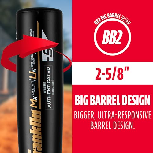 Franklin Sports Youth Baseball Bat - Heist Kids Baseball Bats for Ages 8-12 - 2 5/8" Inch Big Barrel Kids Metal Bat - Youth Drop -10 Aluminum Bats - USA Baseball - 30" Inch / 20oz. - Royal 1000