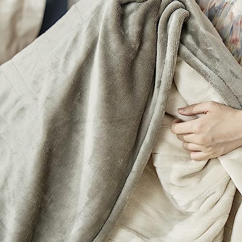 JET'S HOME Heated Blanket 50"x60" - ETL&FCC Certified Flannel Electric Blanket Throw Machine Washable Heating Blanket with 5 Heating Levels 3 Hours Auto-Off Overheating Protection (Blue)