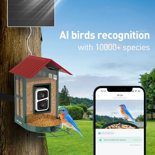 Soliom Bird Feeder with Camera Wireless Outdoor with AI Identify Bird Species, Smart Wild Bird Watching Cam, Live View, Motion Triggered Notification, 3W Solar, 1.6L Small Size-Metal Case BF08S-G