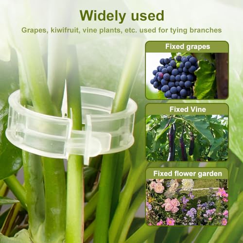 Plant Support Clips,100/150/300 PCS Plant Clips for Climbing Plants Clear Plant Clips,Garden Clips Plant Support Clips Plant Clips Plant Support Garden Clips Vine Fixing Clip for Plants (Green-100pcs)